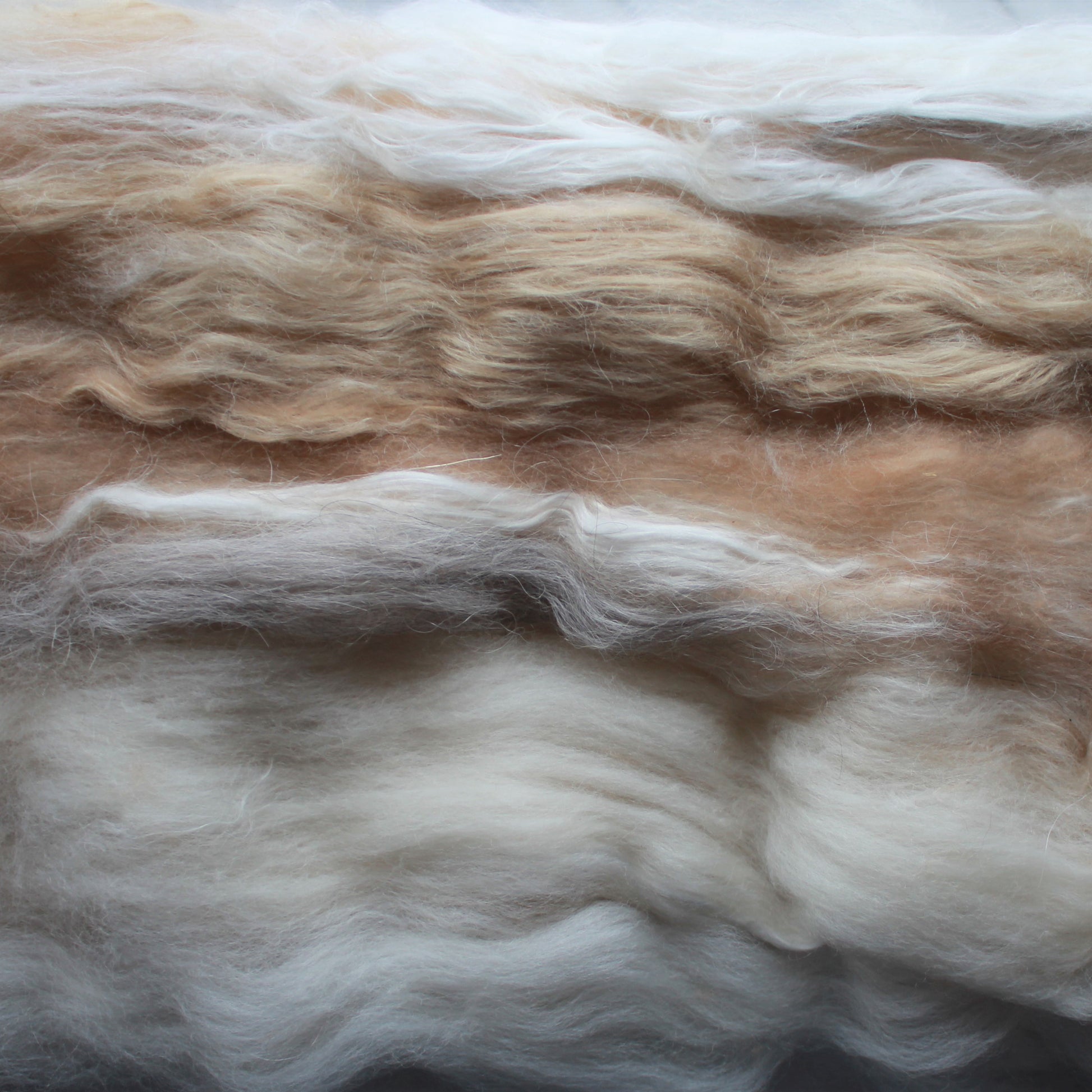 AU NATUREL Art Batt for Spinning and Felting - Purple Lamb