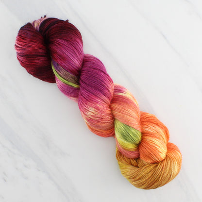 AUTUMN LEAVES on Dream Sock - Hand-Dyed Artisan Yarn