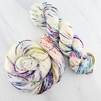 PARTY LIKE IT'S 2029 on Squoosh Worsted- Hand-Dyed Yarn