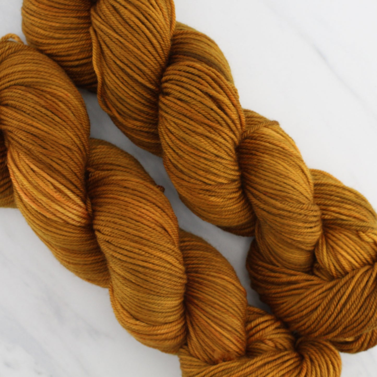 PUMPKIN SPICE on Squoosh DK - Hand-Dyed Yarn