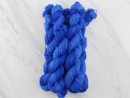 FREEDOM BLUE MINI SKEIN on Splendid Sock - Purple Lamb